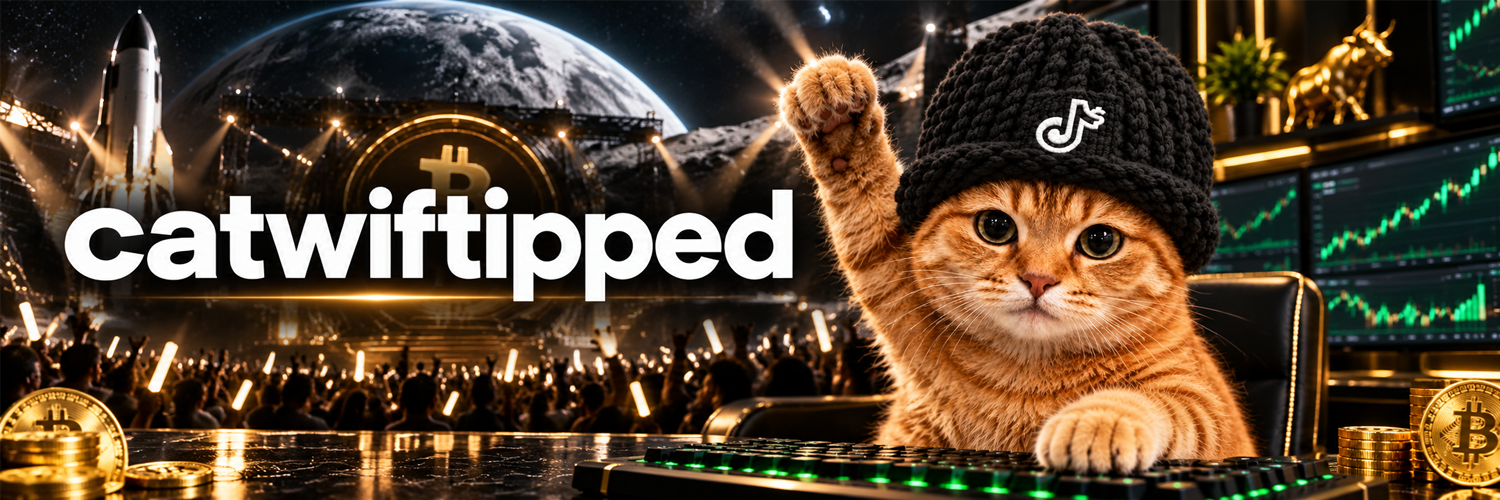 catwiftipped banner — from the charts to the stage to the moon